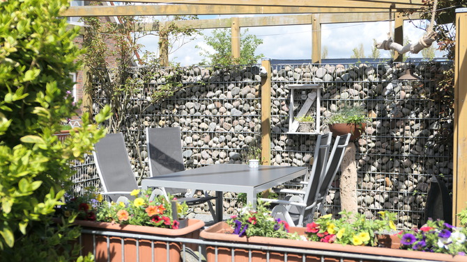 Ferienwohnung in Fehmarn OT Landkirchen - Haus am Feld - wenn erst einmal die Rosen bl&uuml;hen wundersch&ouml;n