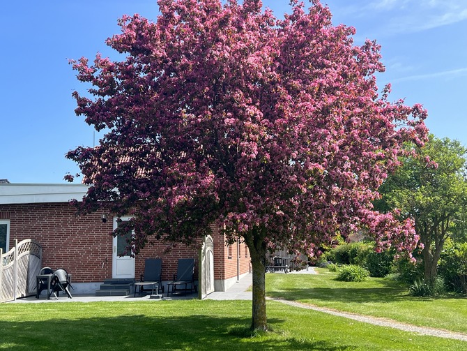 Ferienwohnung in Fehmarn OT Westermarkelsdorf - Pension Seestern - Bild 7