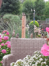 Ferienwohnung in Lütjenbrode - Residence Strandläufer - Bild 22