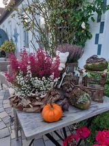 Ferienwohnung in Lütjenbrode - Residence Strandläufer - Bild 25