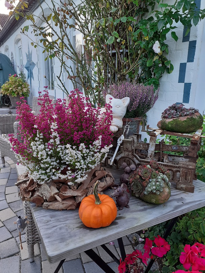Ferienwohnung in Lütjenbrode - Residence Strandläufer - Bild 25