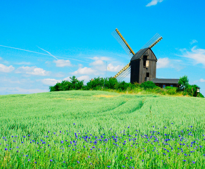 Ferienwohnung in Zinnowitz - Mare Balticum - Blockwindmühle auf Usedom