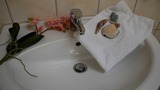 Ferienwohnung in Fehmarn OT Burg -  - Bild 13