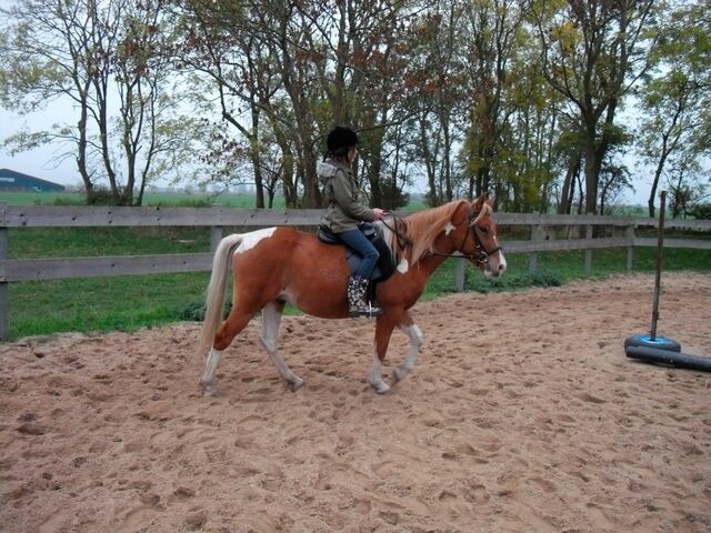 Ferienwohnung in Fehmarn OT Wenkendorf - "Ferienhof Bauernhof Hinz" - Donnerkeil OG - Bild 20