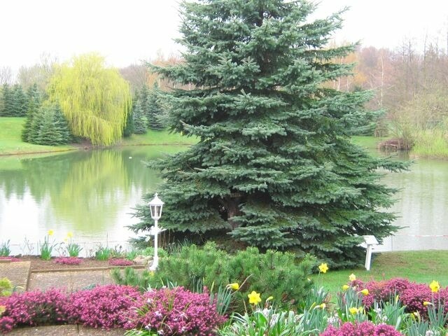 Ferienwohnung in Cismar - Haus am Kojenteich - Whg. 1 - Klosterdorf Cismar - gepflegte Wohnung auf idyllischem Seegrundst&uuml;ck - Bild 15