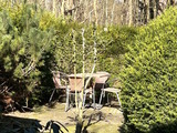 Ferienwohnung in Prerow - Eichenpark 5.1 - Bild 15
