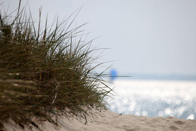 Ferienhaus in Pelzerhaken - Typ B / "Lady Nelson" -F&ouml;rdehaus- - Bild 19
