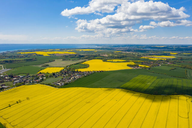 Ferienwohnung in Gr&ouml;mitz - Studio mit Meerblick - Bild 11