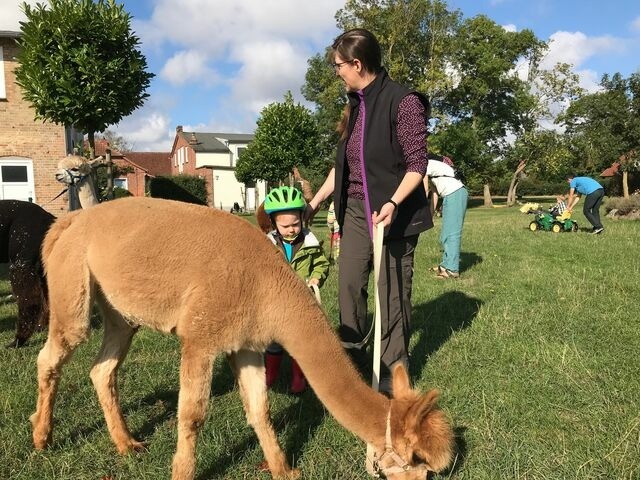 Ferienhaus in Fehmarn OT Staberdorf - Gartenhaus 3, inkl. 1 Parkplatz - Bild 12