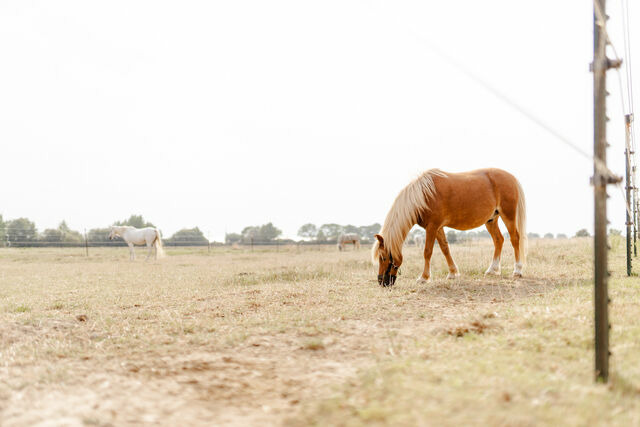 Ferienwohnung in Fehmarn OT Staberdorf - Alte Schule 2 - Bild 14