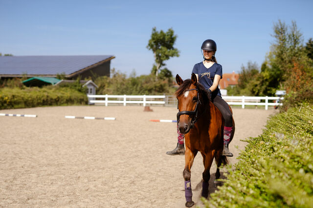 Ferienwohnung in Fehmarn OT Staberdorf - Alte Schule 2 - Bild 18