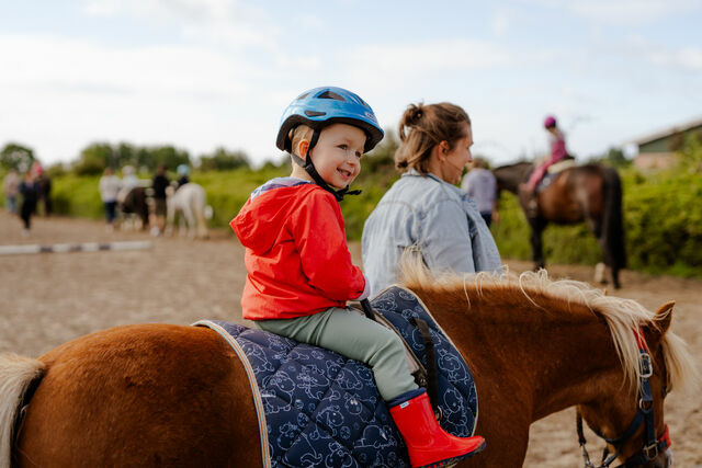 Ferienwohnung in Fehmarn OT Staberdorf - Alte Schule 2 - Bild 24