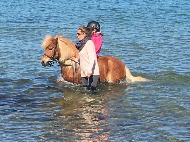 Ferienhaus in Fehmarn OT Staberdorf - Reetdachhaus 6, inkl. 2 Parkplätze - Bild 21