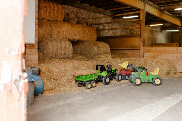 Ferienwohnung in Fehmarn OT Staberdorf - Achter de H&ouml;f Whg. 3 - Bild 23