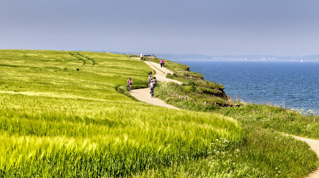 Ferienwohnung in Boltenhagen - Ferienhaus "An der Steilk&uuml;ste" Whg. 1 - Bild 15