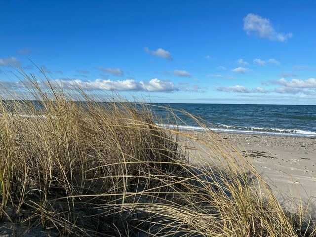 Ferienwohnung in Fehmarn - Ferienwohnung West - Bild 10