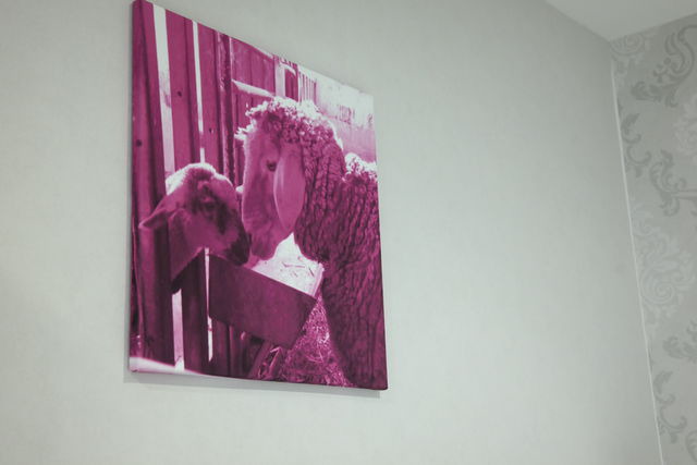 Ferienwohnung in Heiligenhafen - Ferienwohnung Kuhn GbR - Whg. 4 - Nedden - Bild 11