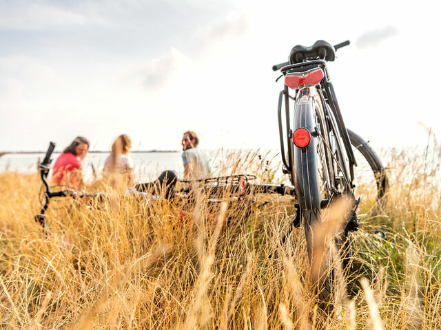Ferienhaus in Damp - Nurdachhaus in Damp an der Ostsee - Bild 19