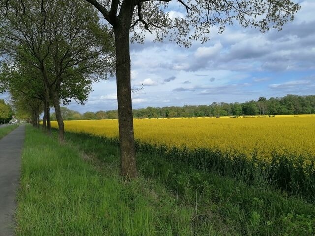 Ferienwohnung in Dahme - Pl&ouml;n Lars - Fewo 1 - Bild 16