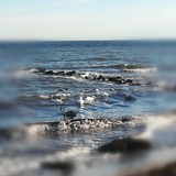 Ferienwohnung in Dahme - Pl&ouml;n Lars - Fewo 1 - Bild 18