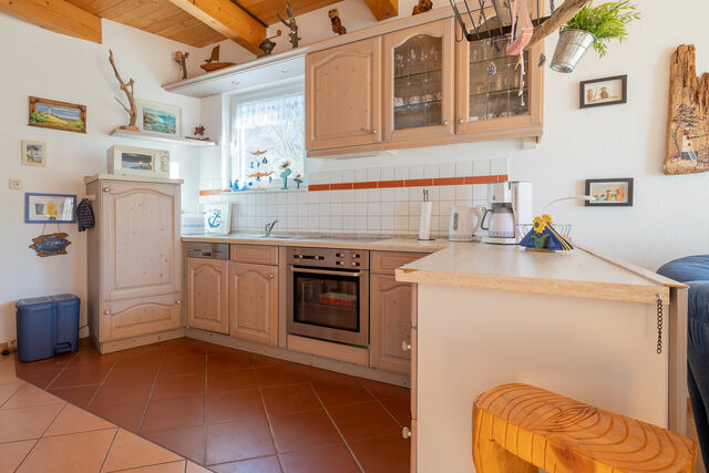 Ferienhaus in Zingst - Ferienhaus Ginster - Bild 3