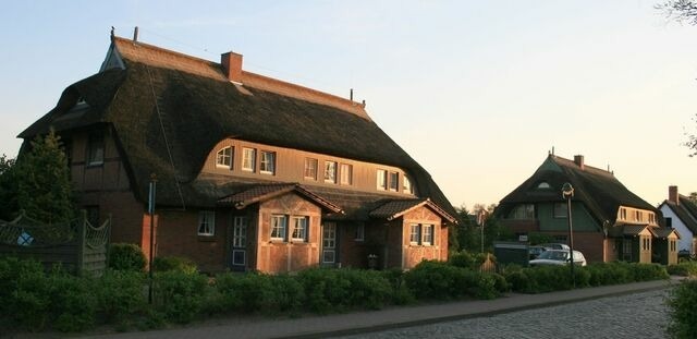Ferienwohnung in Born a. Darß - Ferienwohnung Nr. 03 (EG + OG) - Bild 19