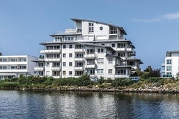 Haus "Windjammer", Wohnung Nr. 1 "Luxusnest"