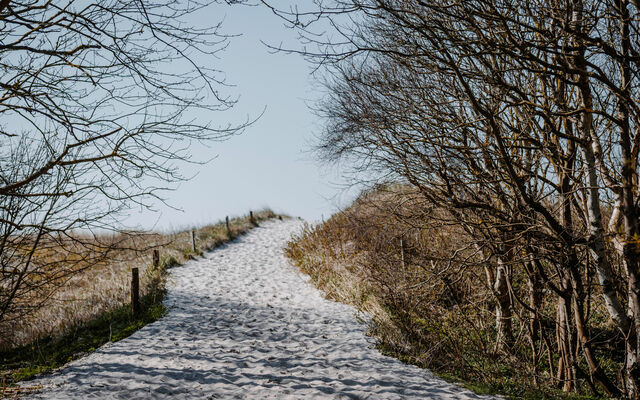 Ferienwohnung in Ahrenshoop - Seeadler - Bild 10