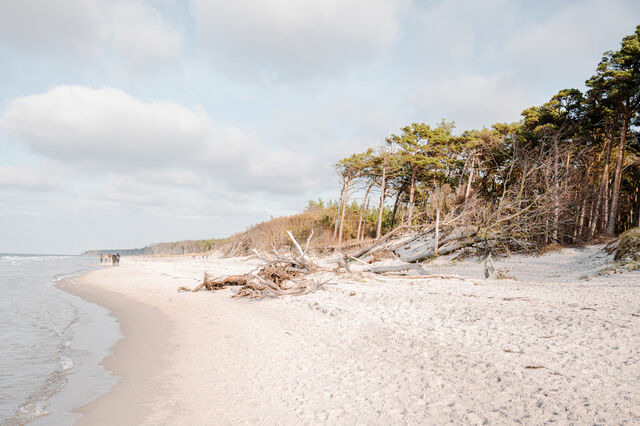 Ferienwohnung in Ahrenshoop - Strandd&uuml;ne 1 - Bild 9