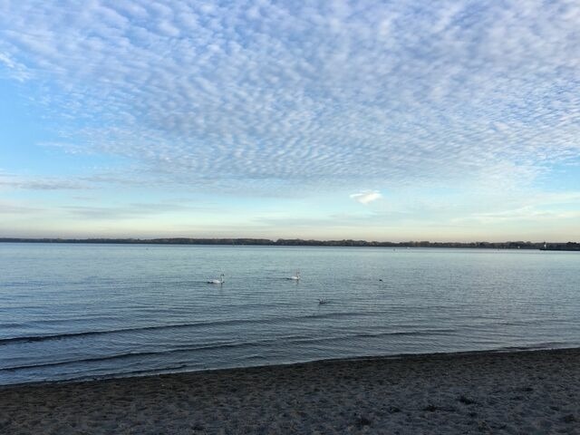 Ferienwohnung in Travem&uuml;nde - Strandappartment Meerkieker - Bild 24