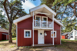 D&uuml;nenblume - Baabe