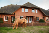 Ferienwohnung in Fehmarn OT Neujellingsdorf - Bauernhof H&ouml;per-Rauert - Reihenhaus 5 - Bild 17
