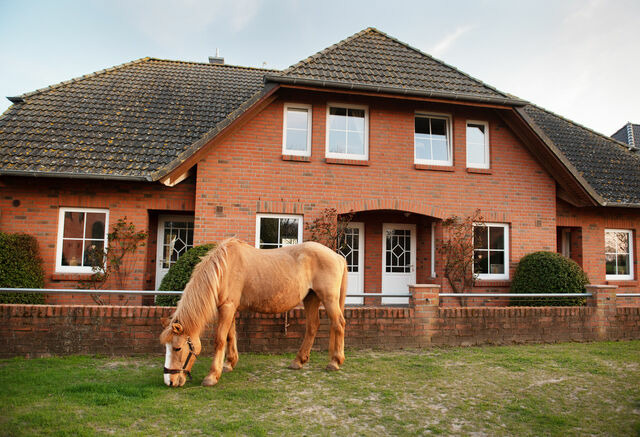 Ferienwohnung in Fehmarn OT Neujellingsdorf - Bauernhof H&ouml;per-Rauert - Reihenhaus 5 - Bild 17