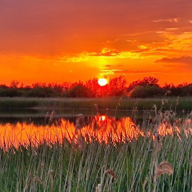 Bungalow in Jürgenshagen - Projekt Ferienhaus am See - Bild 22