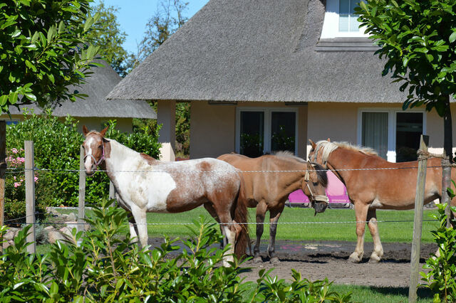 Ferienwohnung in Fehmarn OT Staberdorf - Landhaus 1, inkl. 1 Parkplatz - Bild 16