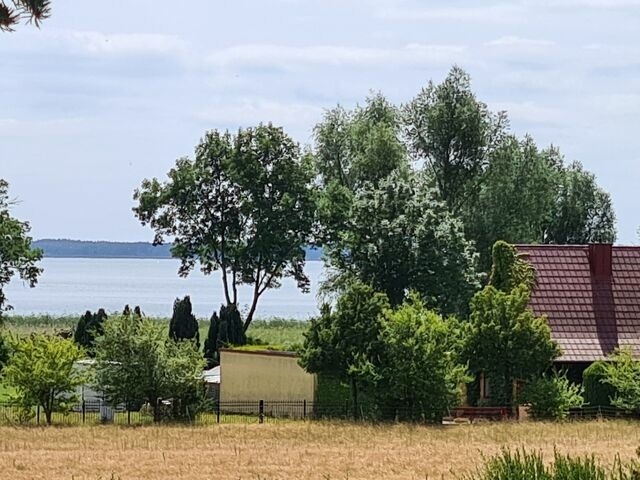 Ferienhaus in L&uuml;tow - Ferienhaus K&ouml;hler Am Achterwasser , Urlaub mit Hund - Bild 2