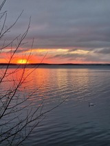 Ferienhaus in L&uuml;tow - Ferienhaus K&ouml;hler Am Achterwasser , Urlaub mit Hund - Bild 22