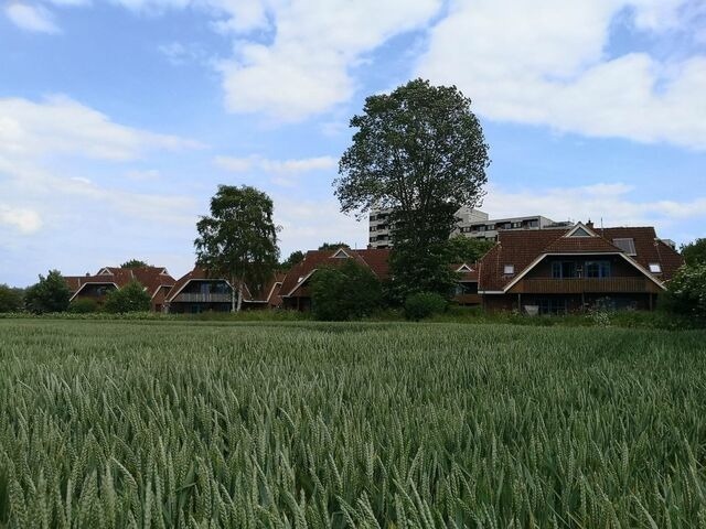 Ferienwohnung in Dahme - Jacobihof Haus 9 Wohnung 01 - Bild 9