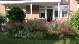 Ferienwohnung in Kellenhusen - FeWo Haus Nikolaus 4 - Bild 1