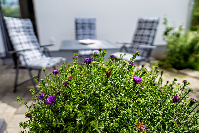 Ferienwohnung in Börgerende - Appartement 2 - Dünenblick - Terrasse mit Liegesesseln