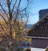 Ferienwohnung in Glücksburg - Ferienwohnung Sonne und Meer - Bild 18