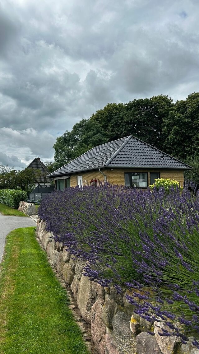 Ferienhaus in Rabenkirchen-Faulück - Ferienhaus Spatz - Bild 19