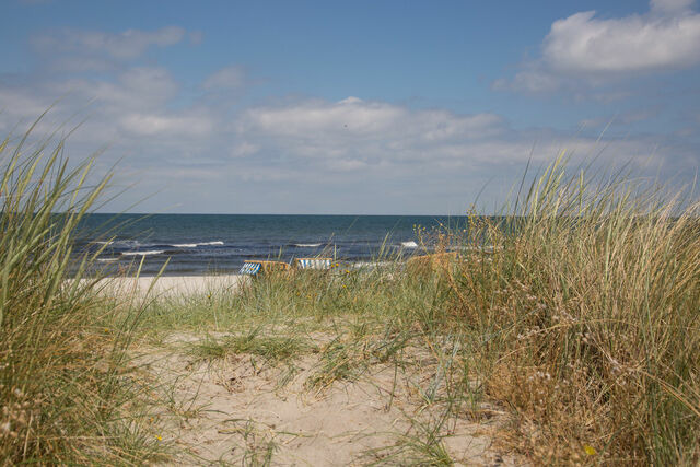 Ferienwohnung in Sch&ouml;nberg - Steuerbord - Bild 10