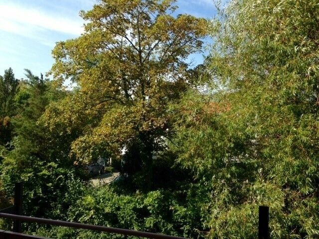 Ferienwohnung in K&uuml;hlungsborn - Ostseeblick, Wustrow 28 - Bild 12