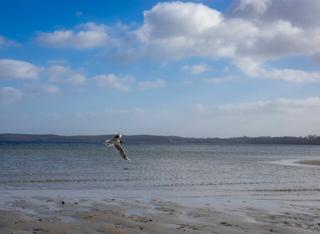 Ferienwohnung in Glücksburg - Ferienwohnung "Leevhuus" - Bild 21