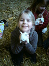 Ferienhaus in Grömitz - 90 qm Schwedenhaus - Bild 7