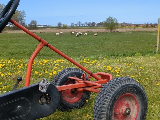 Ferienwohnung in Grube - Edler Altbau, 2,80m breites Doppelbett - Bild 19