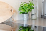 Ferienwohnung in Scharbeutz - Seepark S&uuml;dblick - Bild 17
