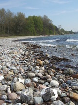 Ferienwohnung in Barkelsby-Hemmelmark - Alte Schule 1 - Bild 19