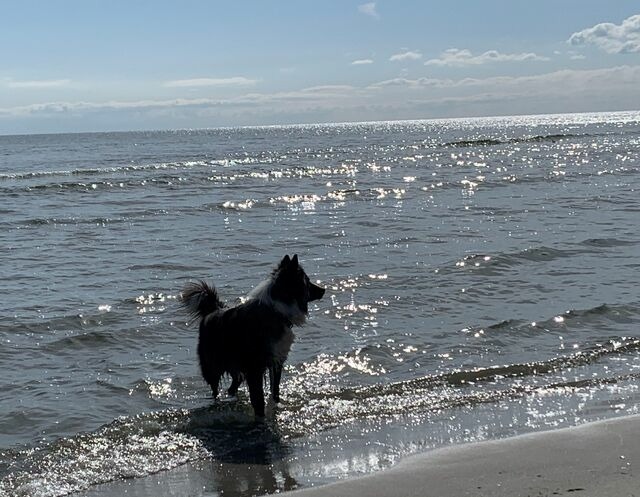 Ferienwohnung in G&ouml;hren - Villa Fernsicht G&ouml;hren Fewo Nr.2 EG - Bild 7